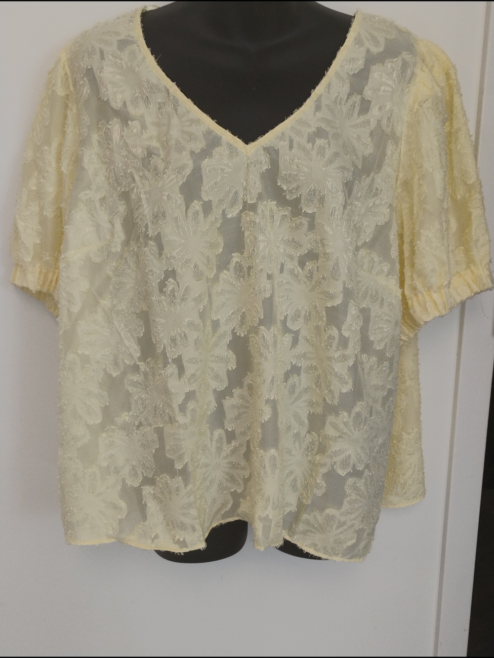 Sheer Floral Lace V-Neck Blouse in Pale Yellow